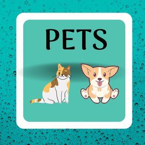 Pet Items